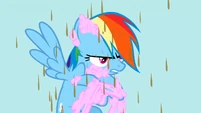 A sticky Rainbow Dash