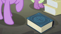EEA guidebook in front of Twilight Sparkle S8E1