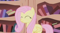 Fluttershy after cleaning Twilight's home S1E03