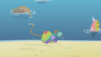 Is that a real turtle S1E5