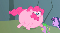 Pinkie Pie puffing up S1E15