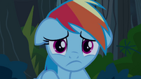 Rainbow Dash "what have I done?" S4E04