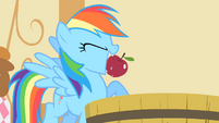 Rainbow Dash finds an apple S1E25