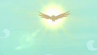 Roc's silhouette in front of the sun S8E11