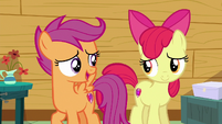 Scootaloo "trying to figure out your destiny" S6E19