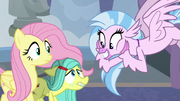 Silverstream excited to meet Ocellus S8E1