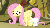 Angel and Fluttershy S4E14