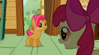 Apple Bloom 'and you seem like the perfect candidate' S3E04