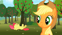 Apple Bloom collapses.