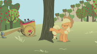 Applejack trying to buck apples S1E04