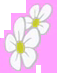 Daisy's cutie mark (same as that of Lavender Bloom).