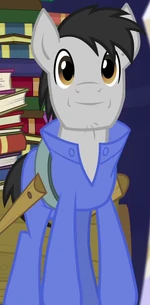 Delivery Pony ID EG2