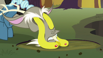 Discord eyes stretch out of their sockets S6E25