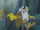 Gilda reaches out to the Idol of Boreas S5E8.png