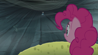 Pinkie hearing Rainbow S5E8