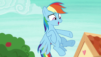 Rainbow "supposed to be part of friendship" S8E9