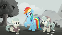 Rainbow Dash "it was just an accident" MLPRR