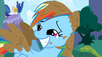 Rainbow Dash covered in mud S1E1