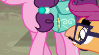 Scootaloo pulling loose thread on Sugar Belle's bag S7E8