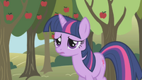 Twilight even more worried S1E04