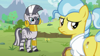 Zecora and Dr. Fauna look at Fluttershy and Angel S9E18