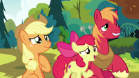 Apple Bloom -anything else-- S7E13