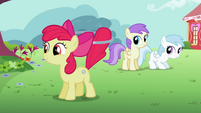 The two fillies secretly watching Apple Bloom.
