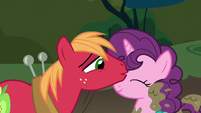 Big Mac kissing Sugar Belle on the nose S8E10