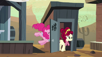 Cherry Jubilee comes out of bathroom; door accidentally hits Pinkie S5E11