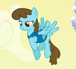 Chocolate Blueberry ID S1E11