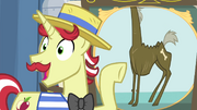 Flam pointing at picture showing a tall pony S4E20