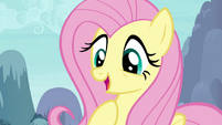 Fluttershy -you speak my language too- S4E16