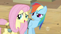 Fluttershy looking away from Dash S2E14