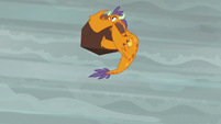 Orange dragon hit by boulder S6E5