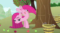 Pinkie Pie left leg intangibility S3E13