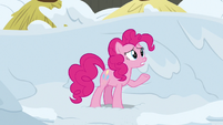 Pinkie Pie pleading with Prince Rutherford S7E11