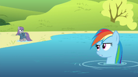 Seriously, is Rainbow Dash really awesome enough to have "Never Wet" in her hair?