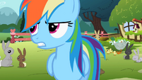 Rainbow Dash 'like I was saying' S2E07