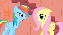 Rainbow Dash and Fluttershy S01E16