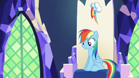 Looks like Dashie's making herself at home.