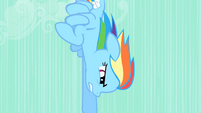 Rainbow Dash speeding downward S01E19