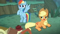 Rainbow and AJ confused by Rarity's behavior S8E13
