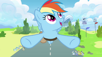 Rainbow Dash looks around the Academy.