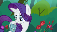 Rarity "now it's just the essentials" S8E13