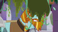 Rockhoof walks into more hanging plants S8E21