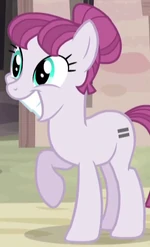 Rosemary ID S5E1