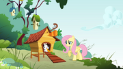 S01E07 Fluttershy przy domku Angela.png