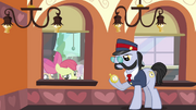 S03E4 Apple Bloom szuka Babs Seed.png