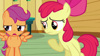 Scootaloo 'Why bother' S3E04