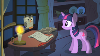 Owlowiscious helping out Twilight